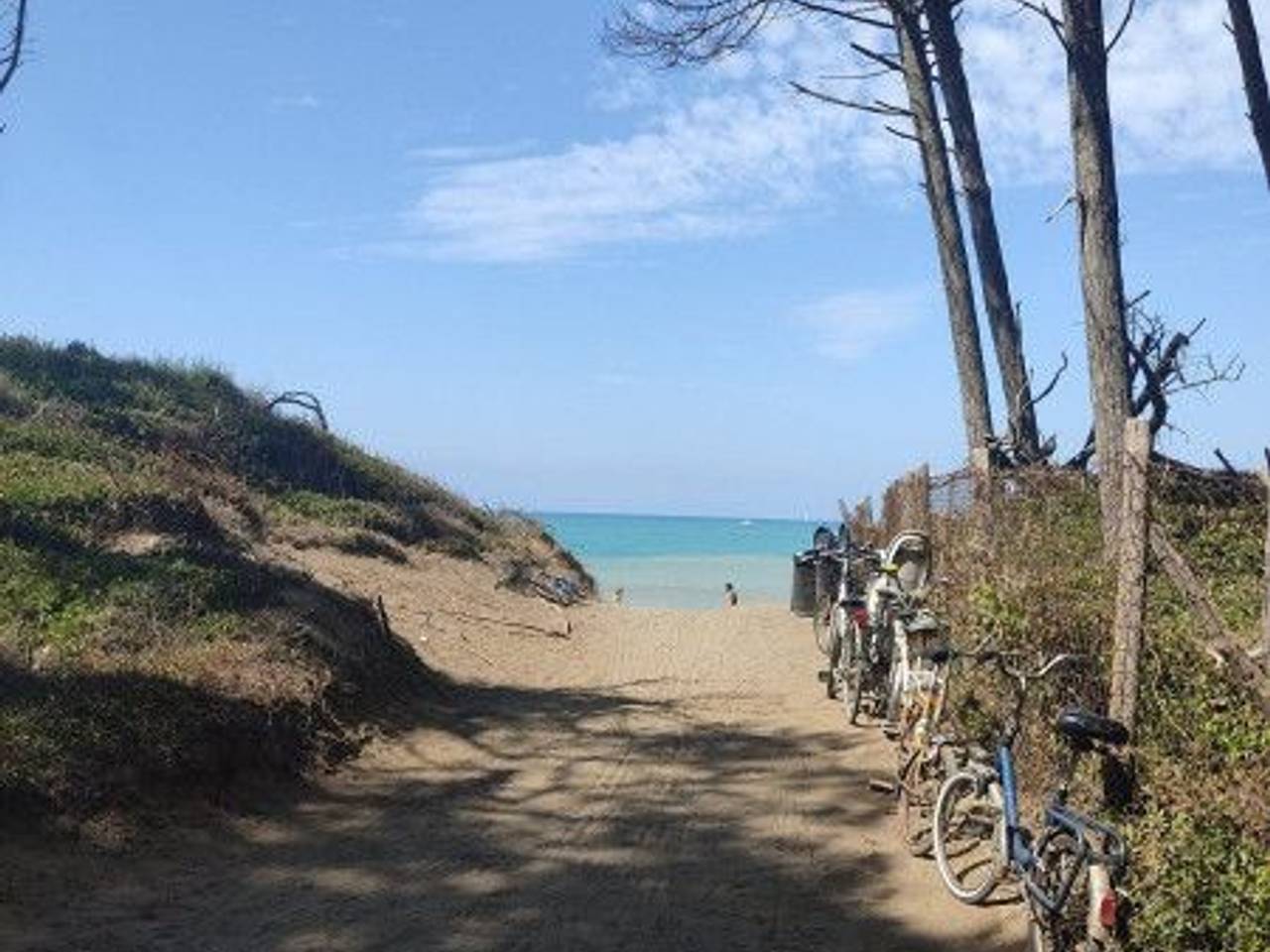 immagine annuncio 5 di 10