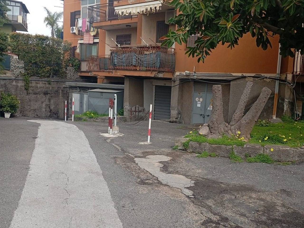 immagine annuncio 12 di 14