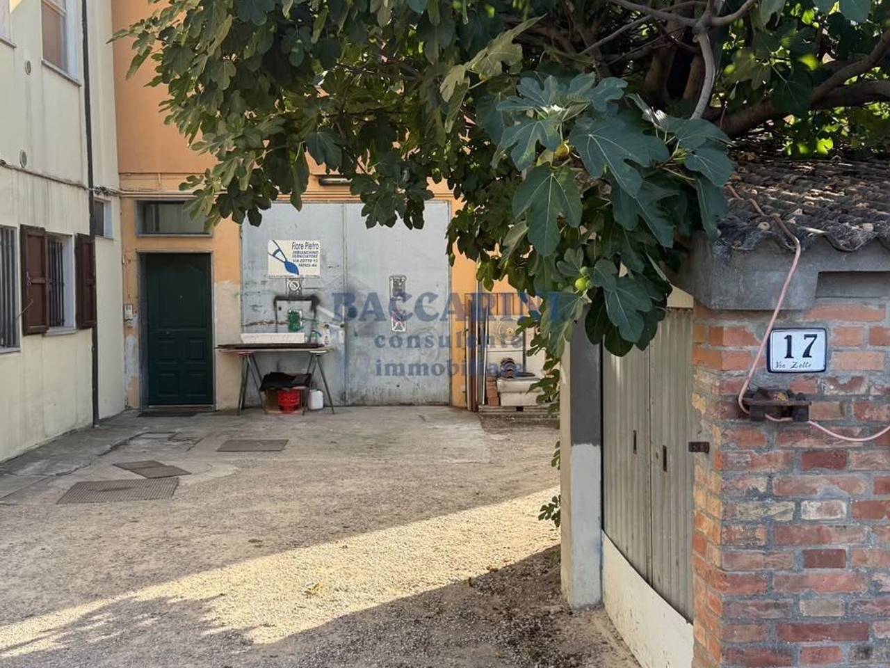 immagine annuncio 13 di 14