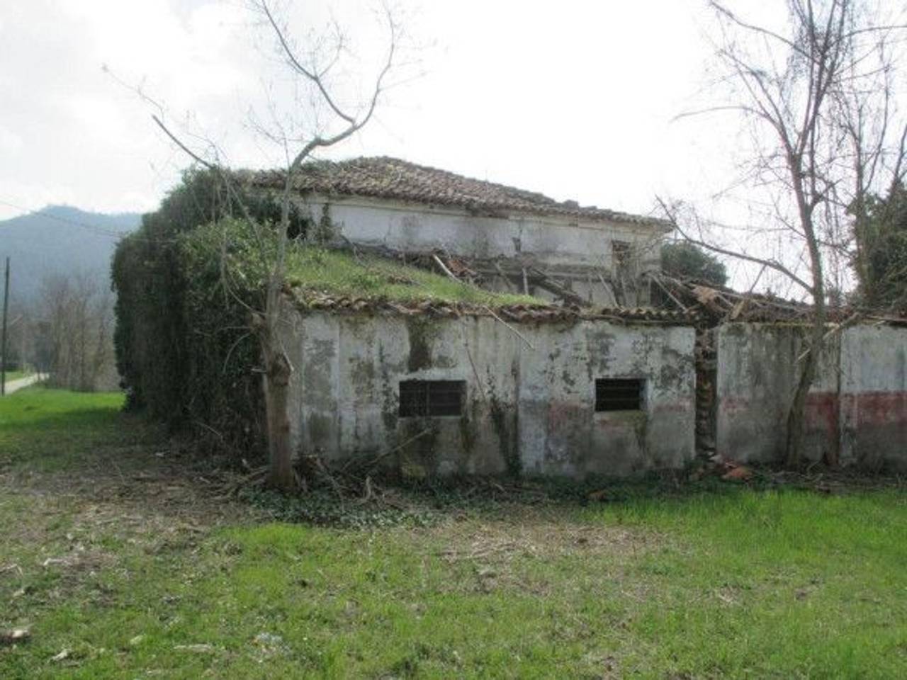 immagine annuncio 3 di 8