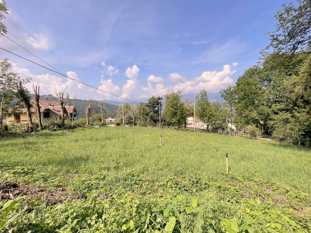 immagine annuncio 4 di 7