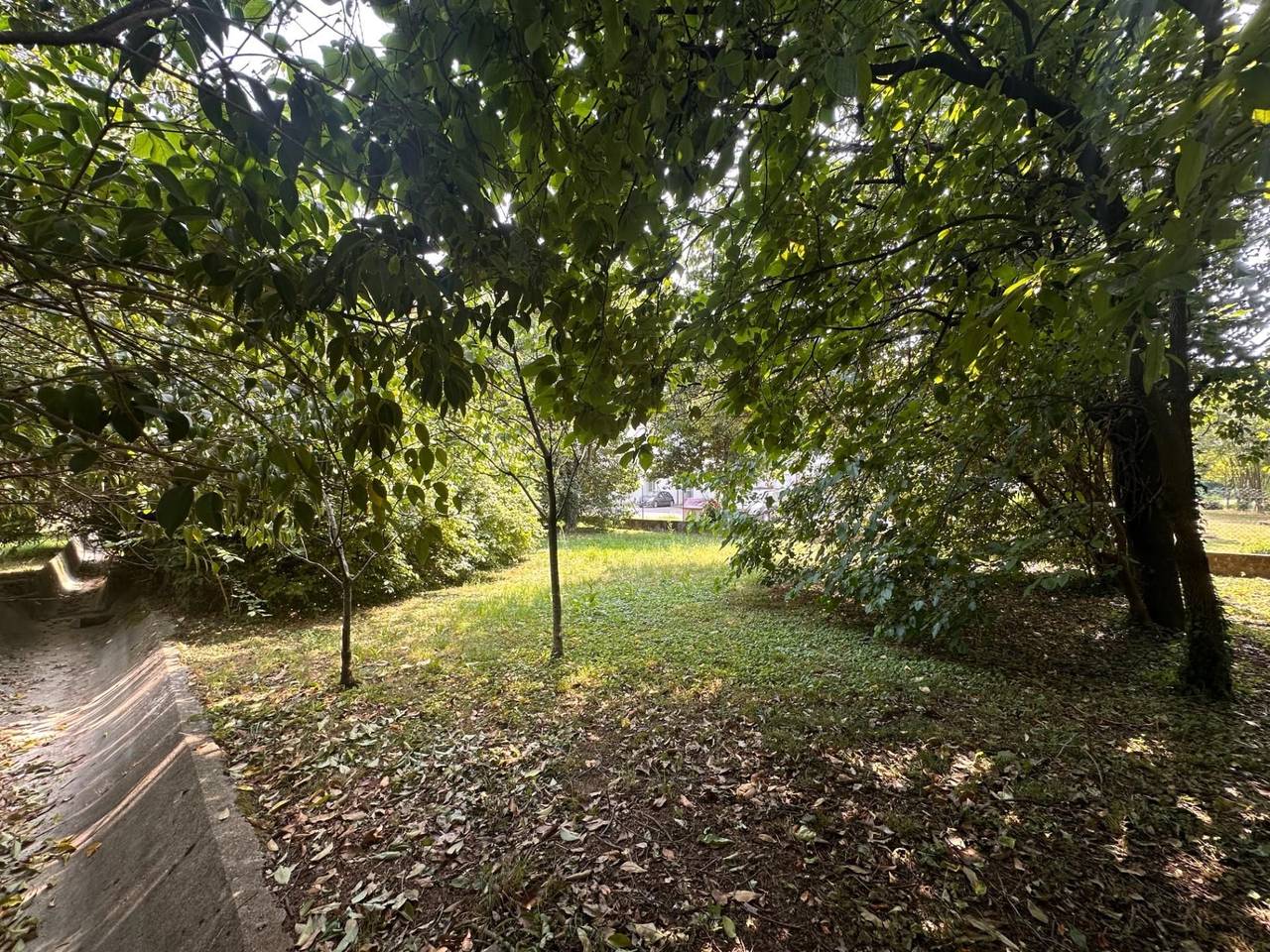 immagine annuncio 5 di 9