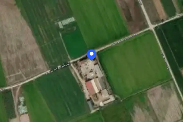 insertion image