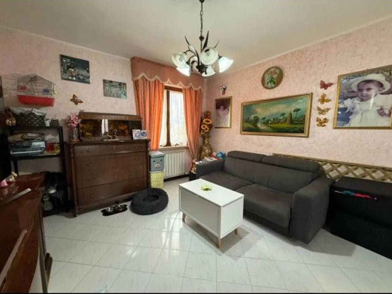 immagine annuncio 1 di 13