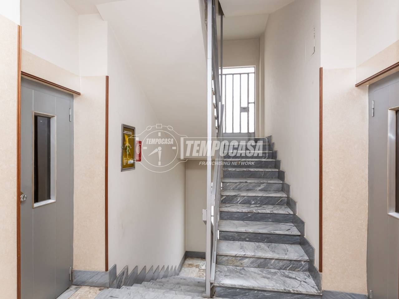 immagine annuncio 4 di 14