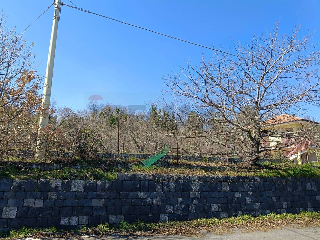 immagine annuncio 2 di 6