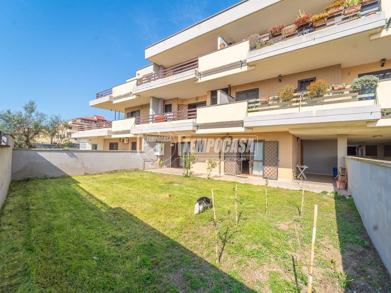 immagine annuncio 14 di 15