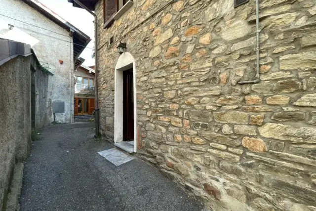 insertion image
