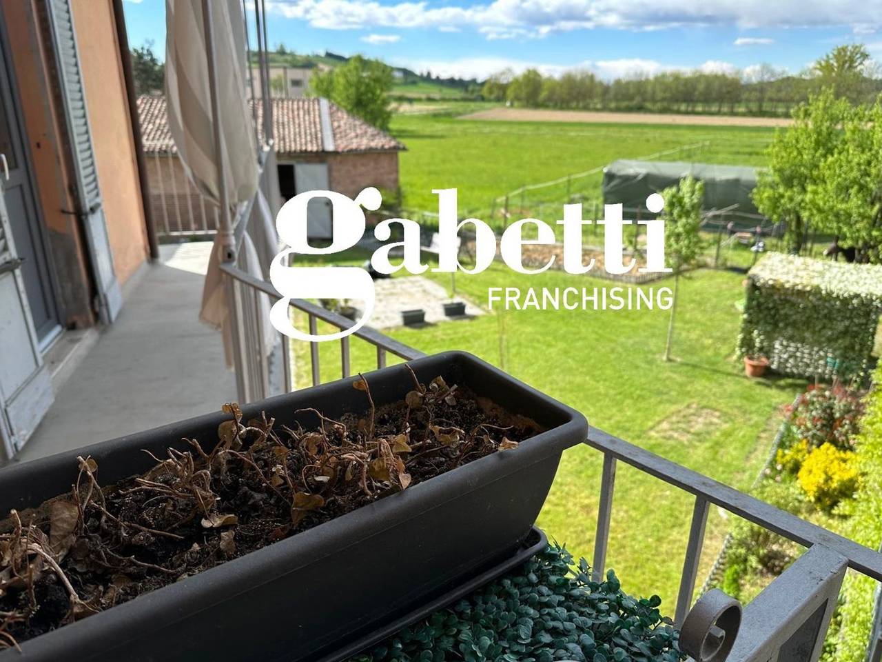 immagine annuncio 12 di 13