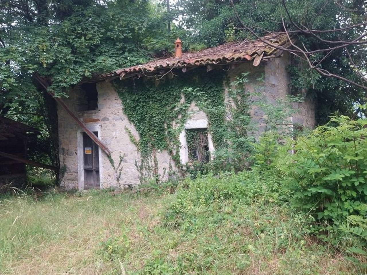 immagine annuncio 5 di 14