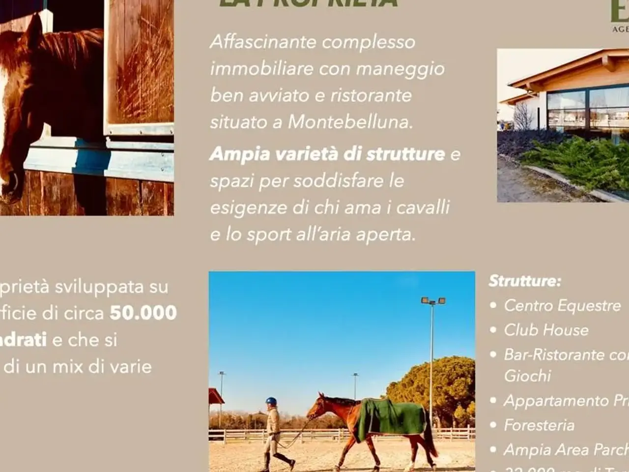 Azienda agricola in Montebelluna - Via Gazie, Montebelluna, {3} - Foto 2