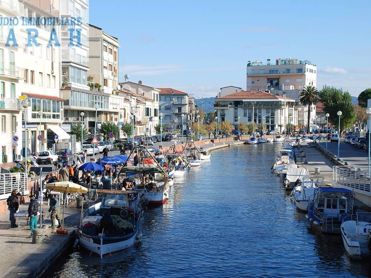 immagine annuncio 9 di 12