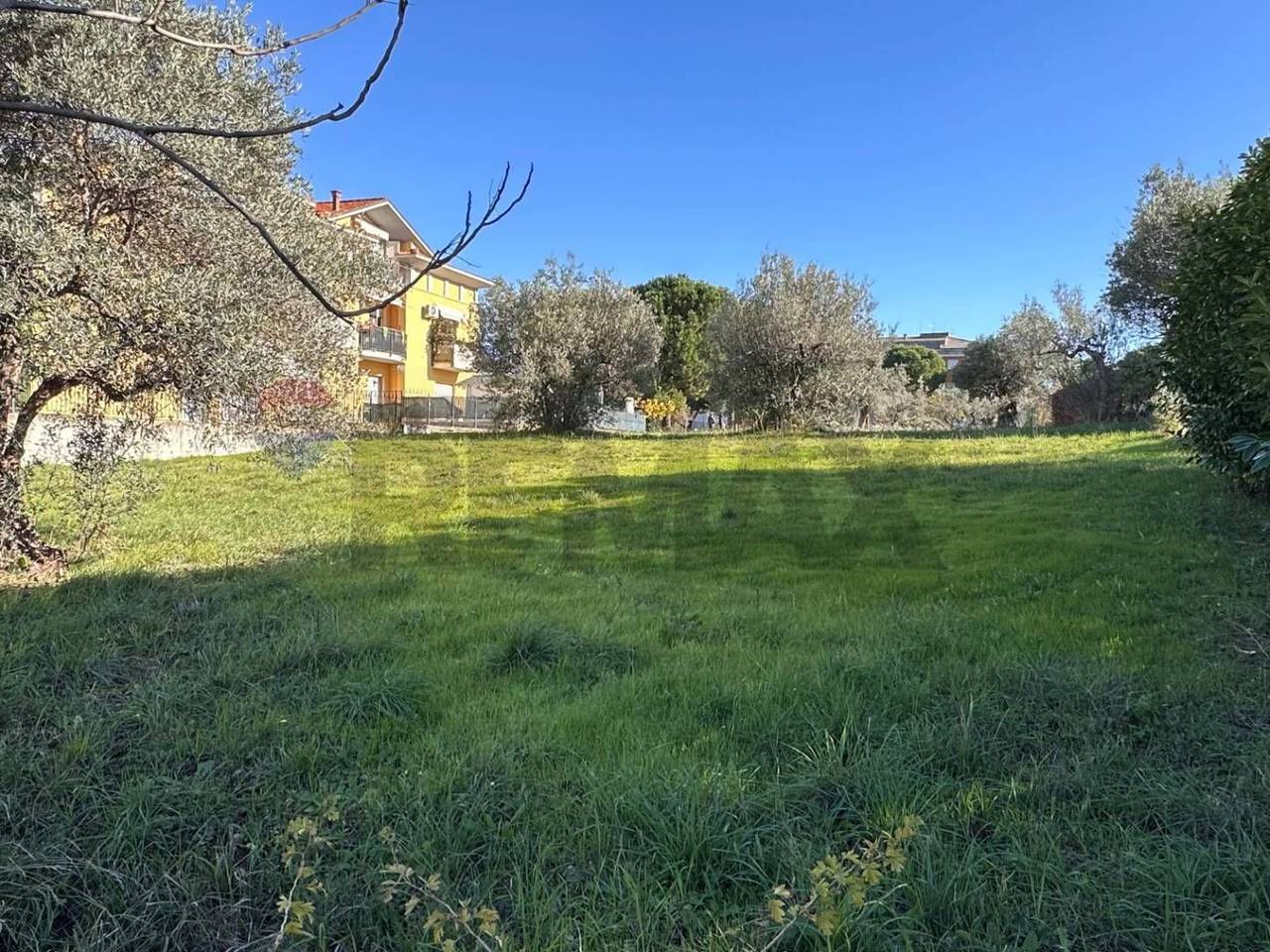 immagine annuncio 2 di 6