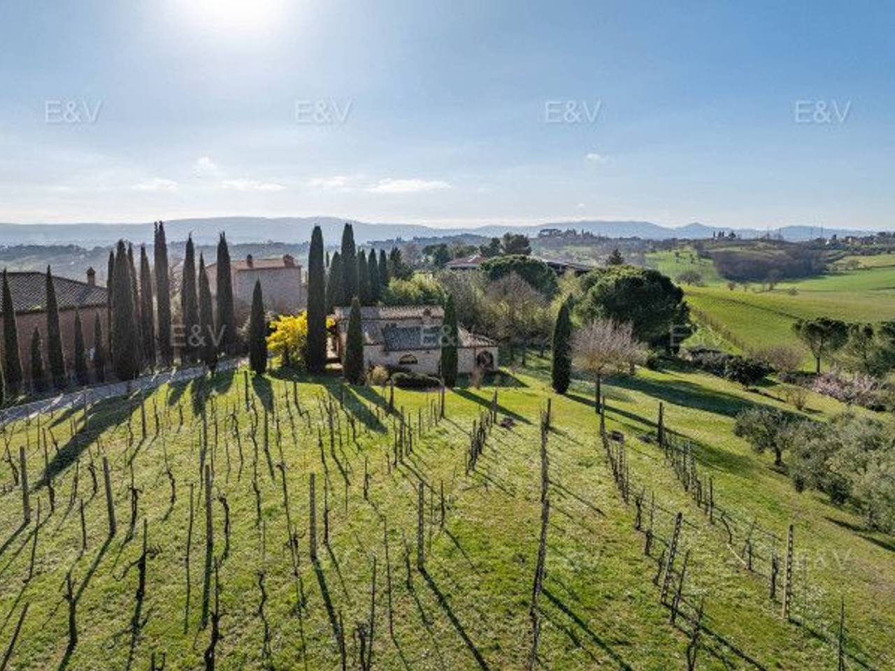 immagine annuncio 9 di 11