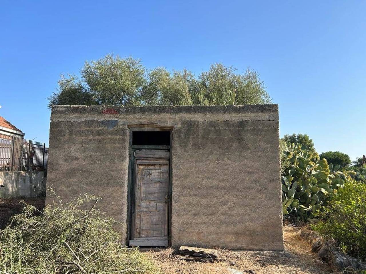 immagine annuncio 6 di 12