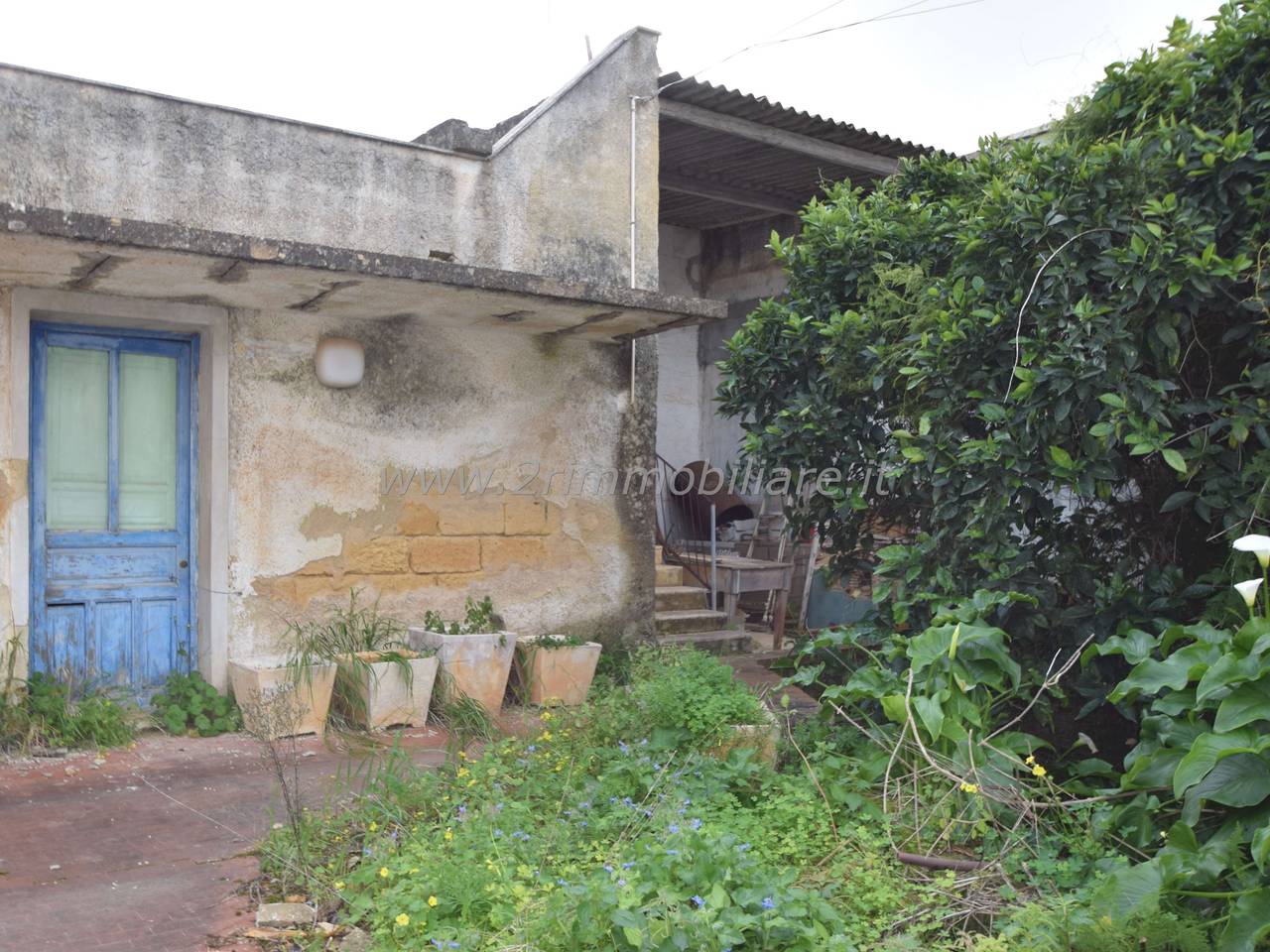 immagine annuncio 2 di 12