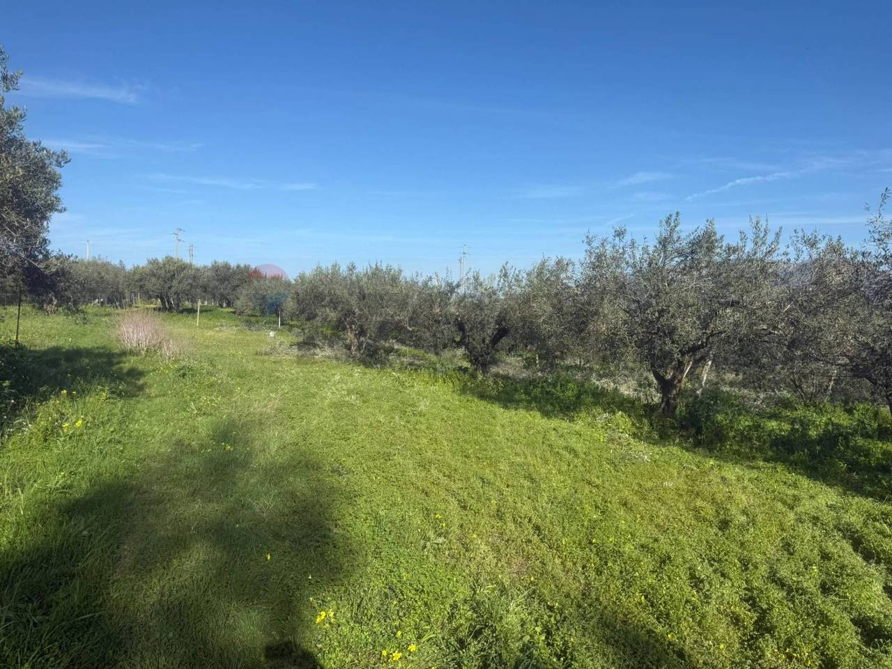 immagine annuncio 6 di 7