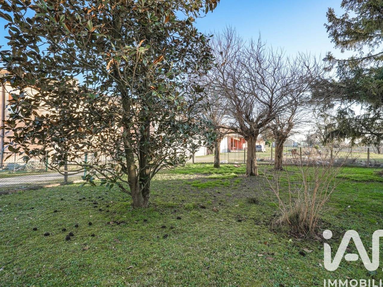 immagine annuncio 9 di 11