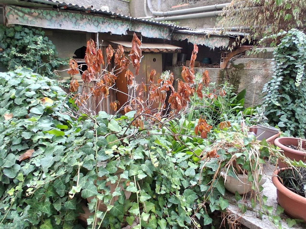 immagine annuncio 3 di 9