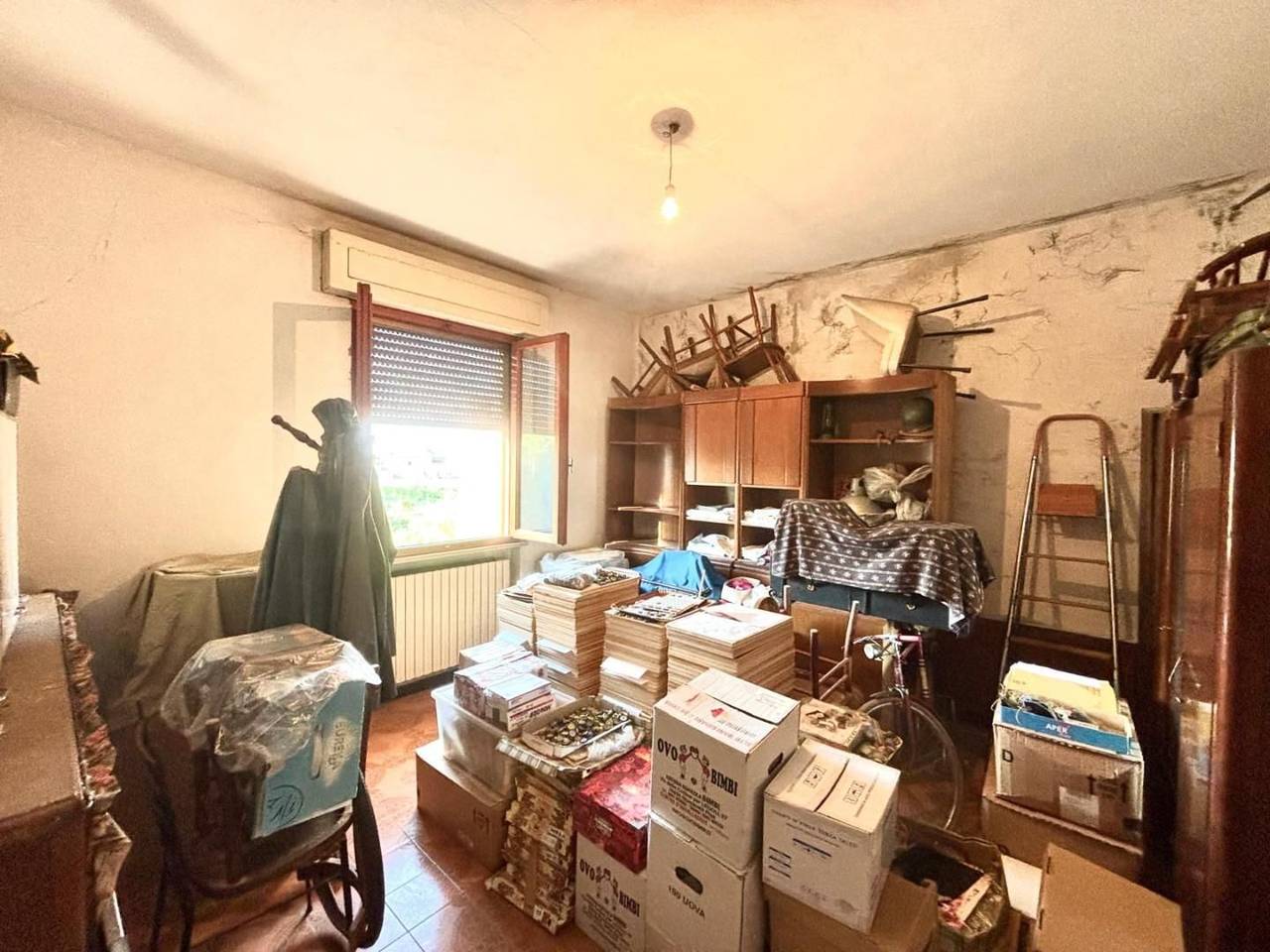 immagine annuncio 10 di 14