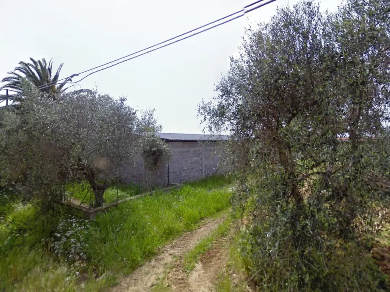 Azienda agricola in , Capalbio, {3} - Foto 2