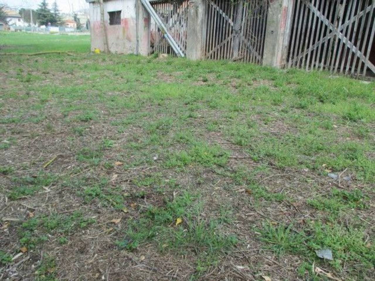 immagine annuncio 2 di 8