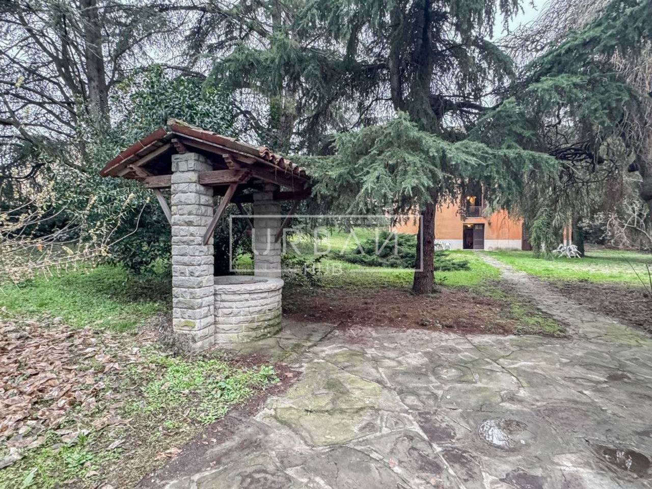 immagine annuncio 12 di 14