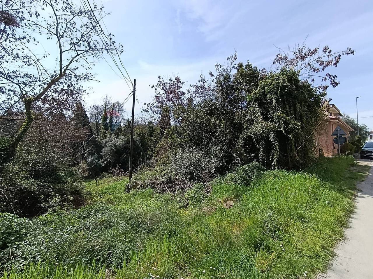 immagine annuncio 5 di 7