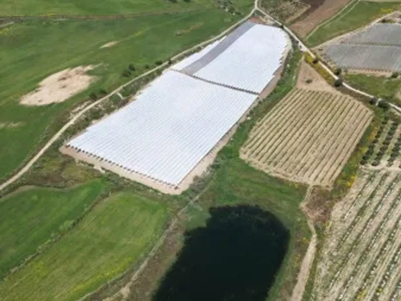 Azienda agricola in Contrada Grottadacqua, Serradifalco, {3} - Foto 1