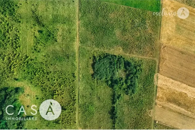 insertion image