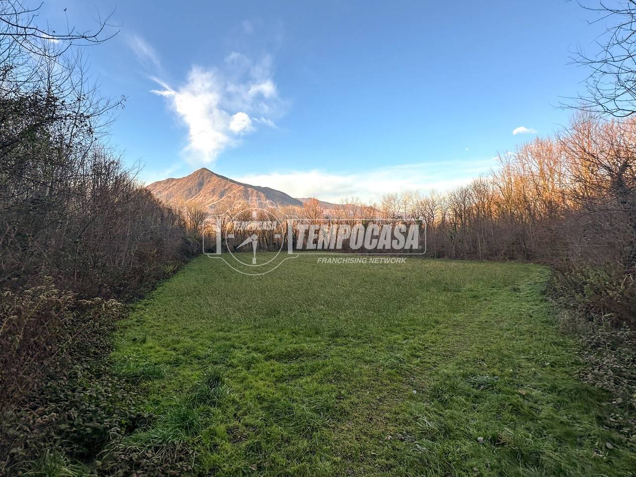 immagine annuncio 1 di 6