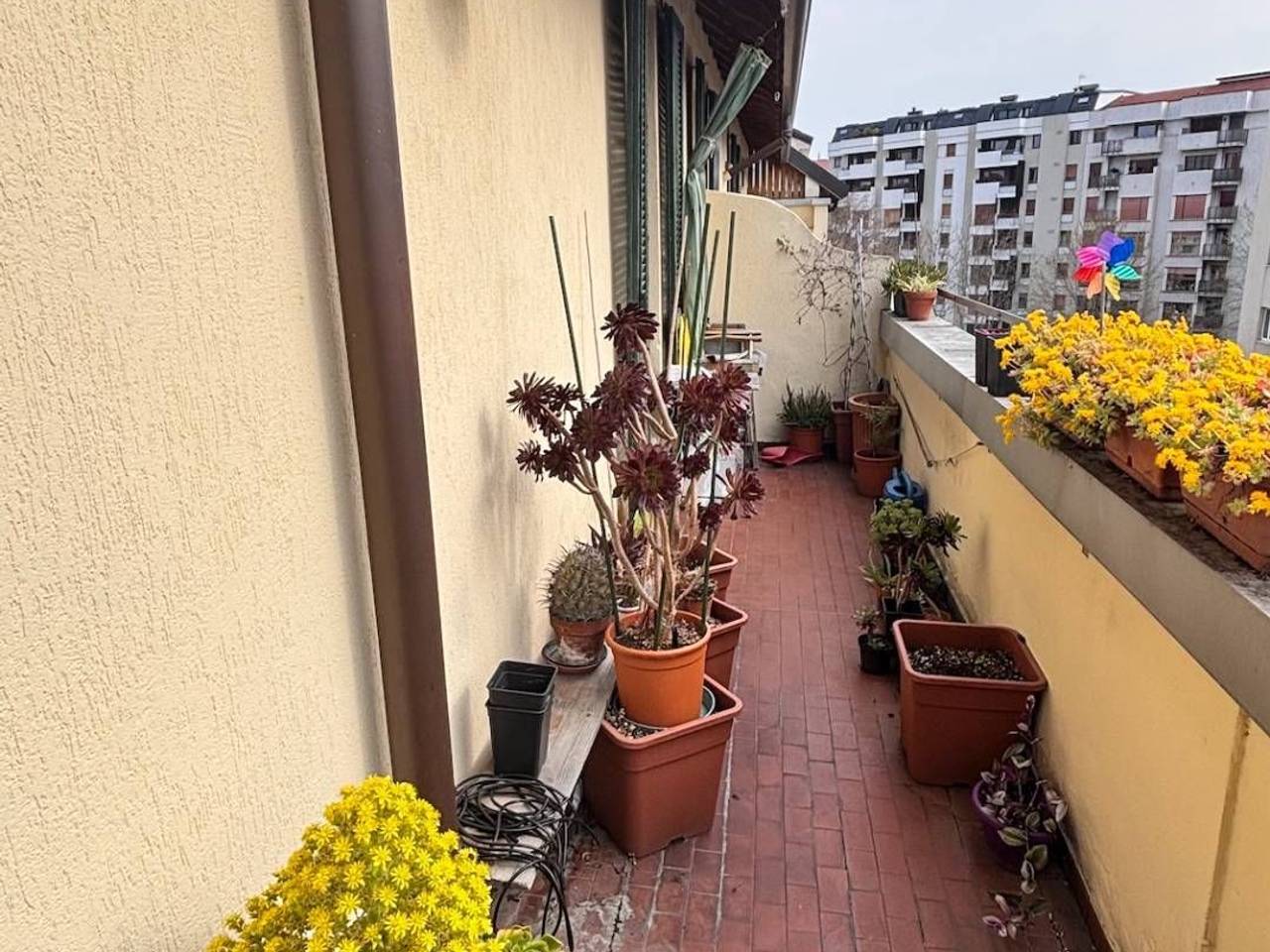 immagine annuncio 9 di 15