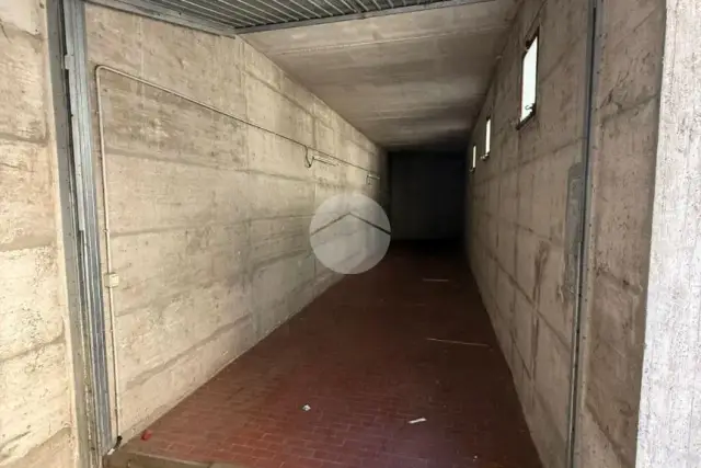 insertion image
