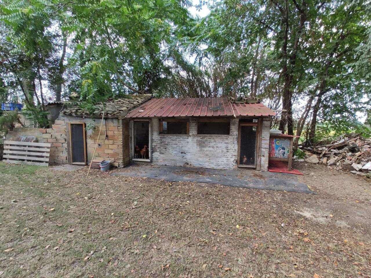 immagine annuncio 4 di 6