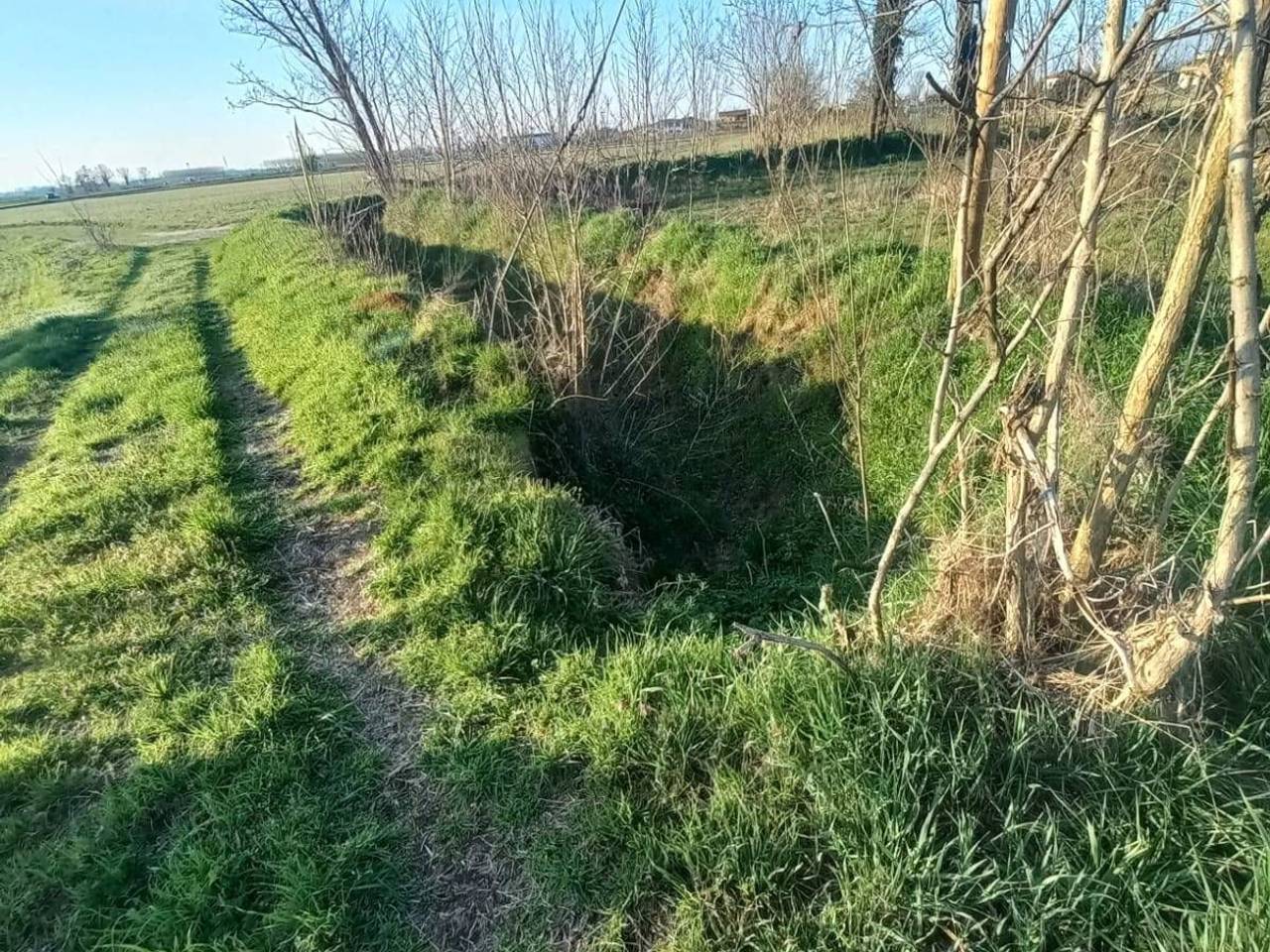 immagine annuncio 4 di 14