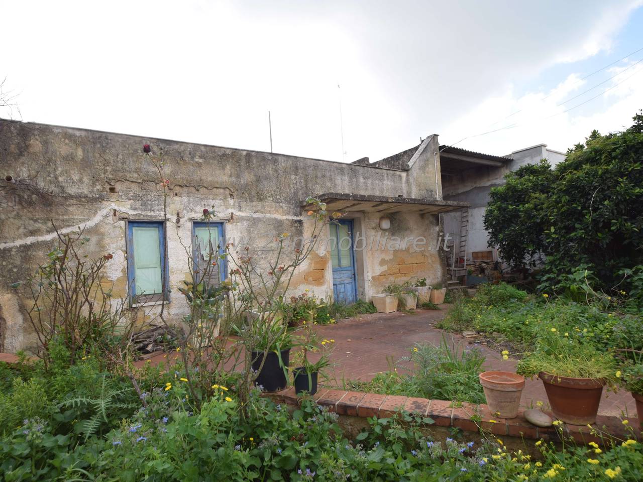 immagine annuncio 1 di 12