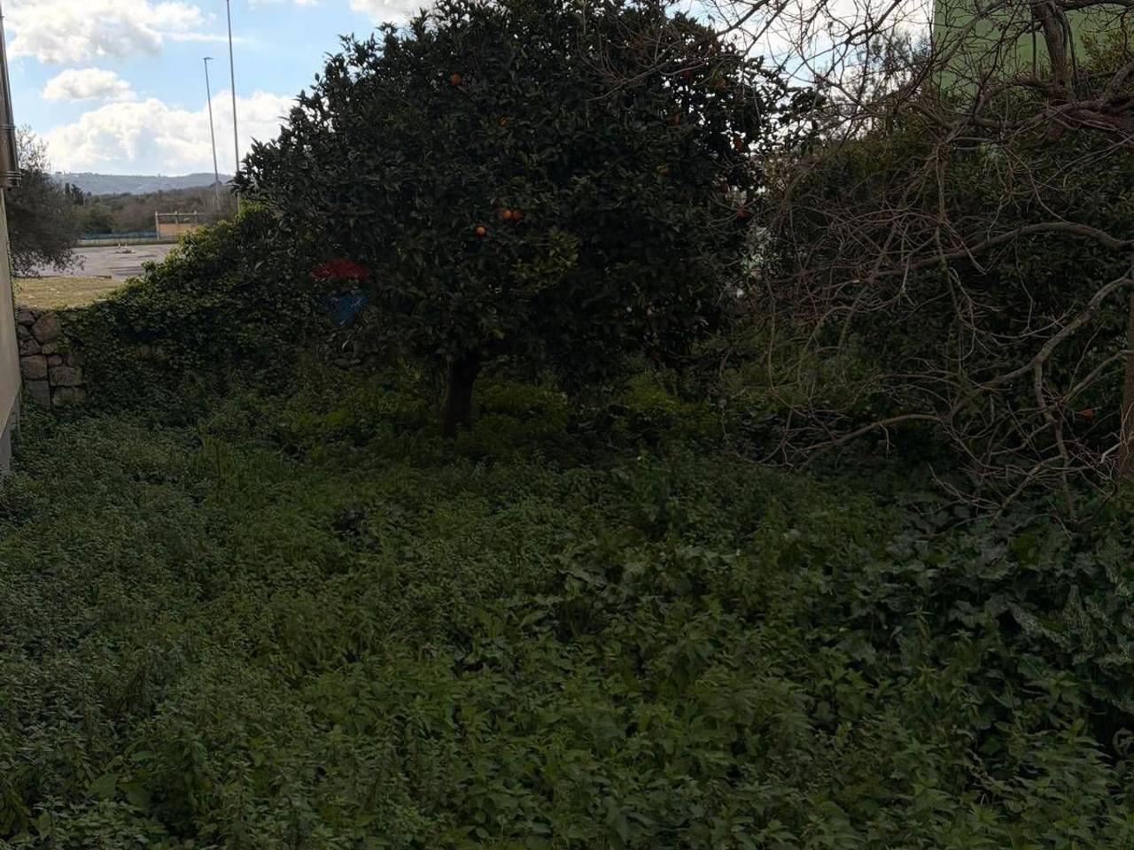 immagine annuncio 2 di 4