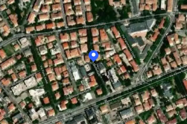 insertion image