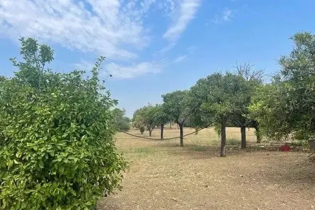 Terreno agricolo, Siracusa - Foto 1