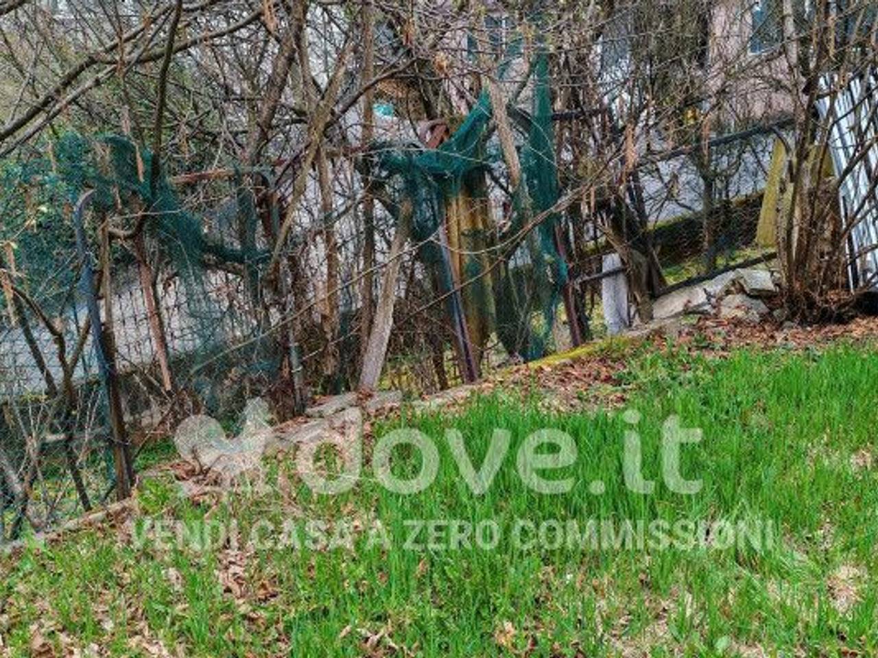 immagine annuncio 10 di 14