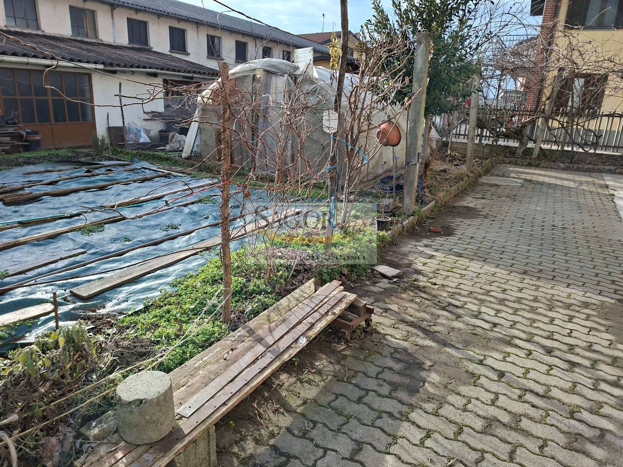 immagine annuncio 12 di 15