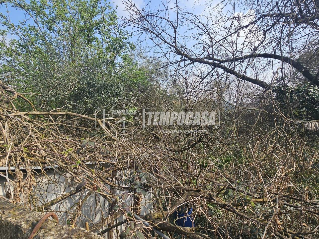 immagine annuncio 2 di 12