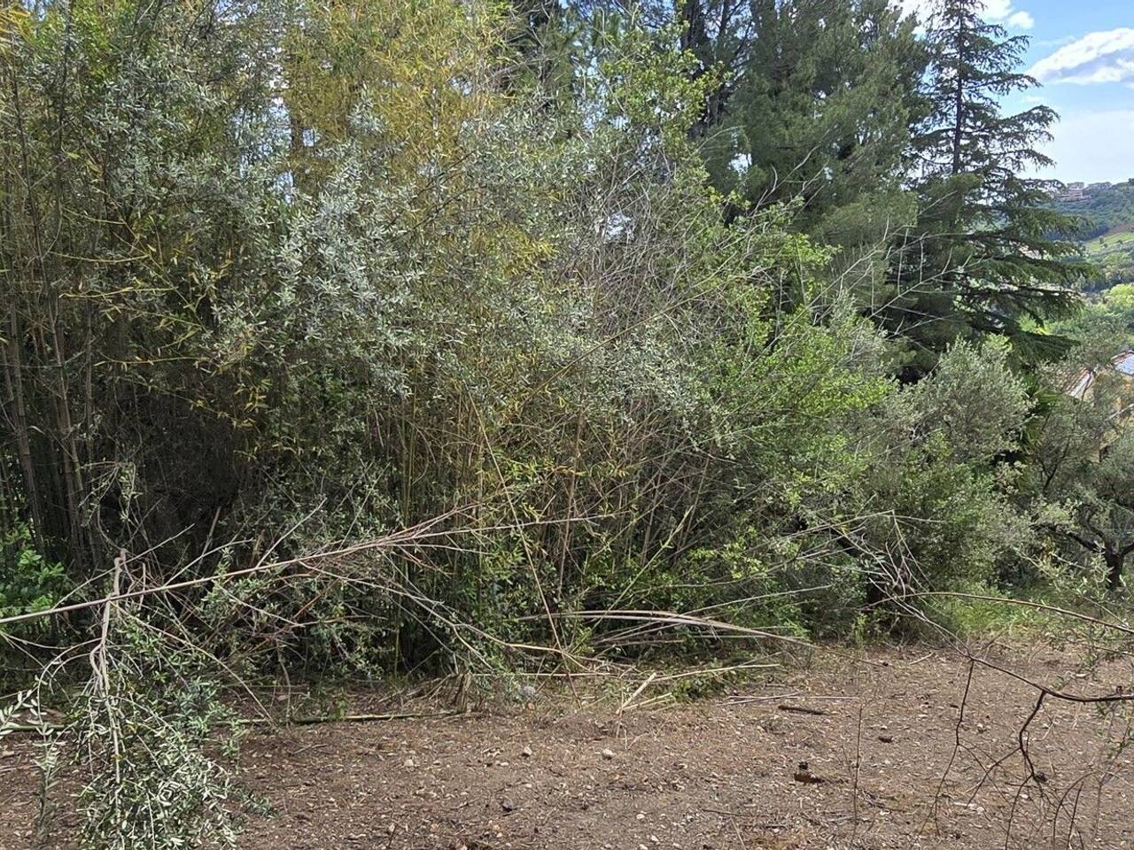 immagine annuncio 8 di 14