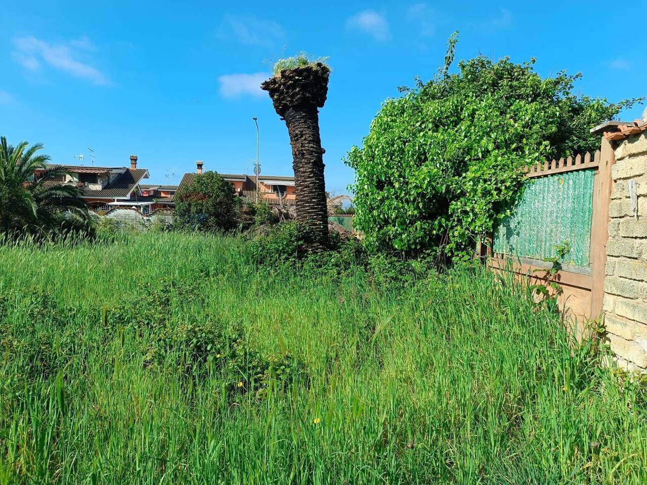 immagine annuncio 11 di 12