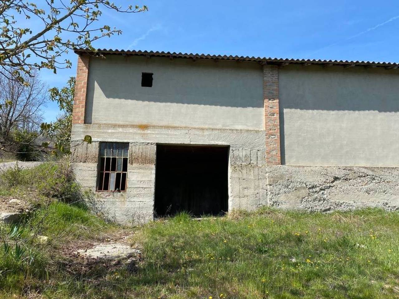 immagine annuncio 6 di 11