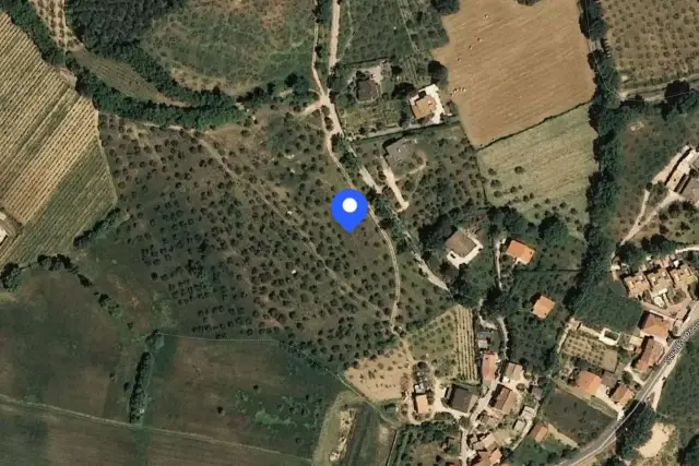 insertion image