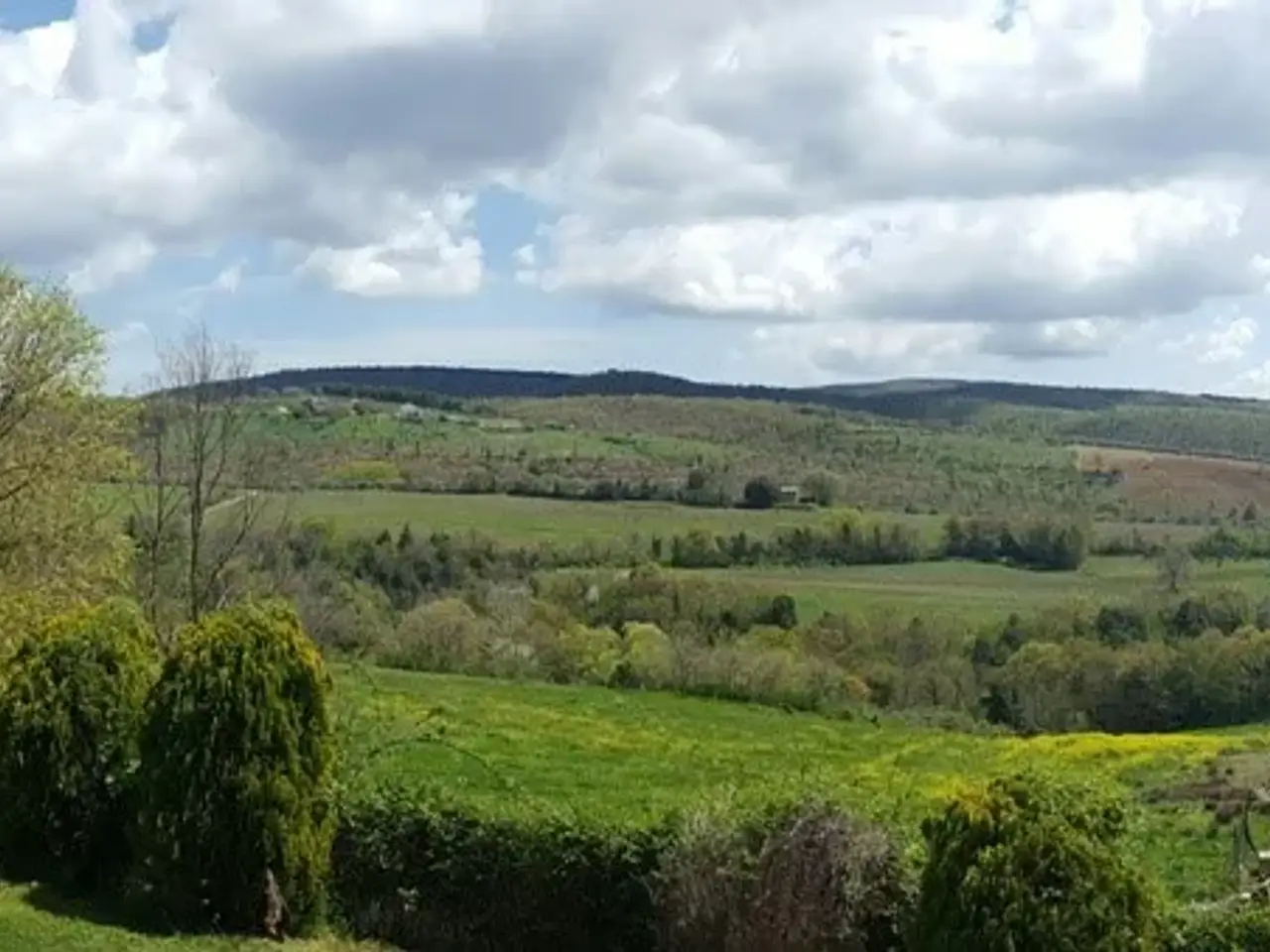 Azienda agricola in , Orvieto, {3} - Foto 1