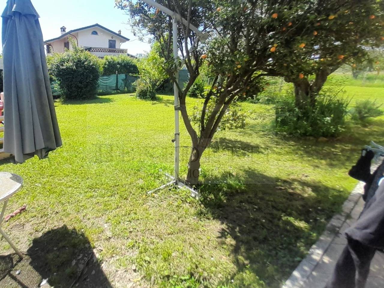 immagine annuncio 11 di 14