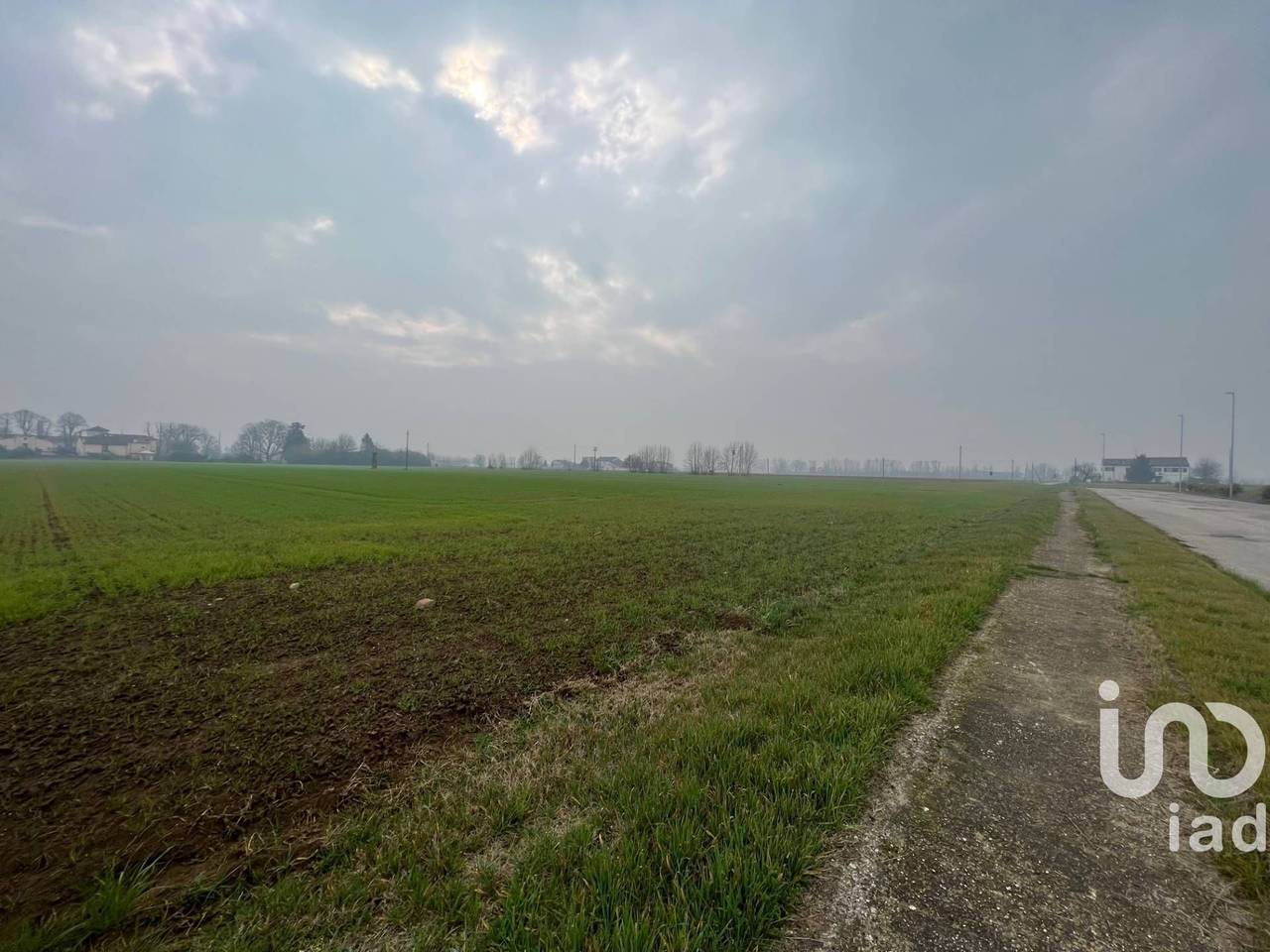 immagine annuncio 4 di 7