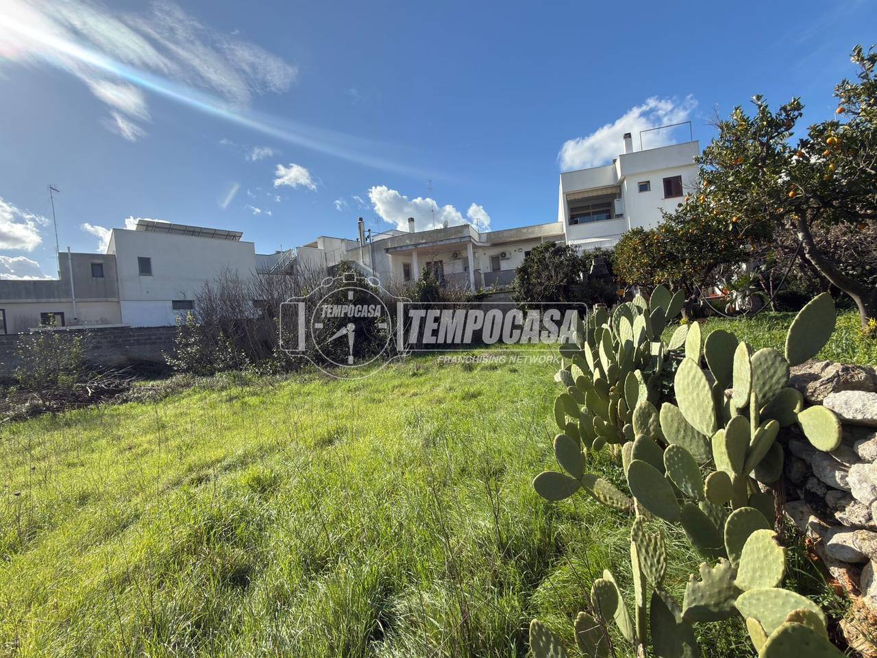 immagine annuncio 8 di 14